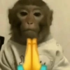 छोटे बंदर ❤️🐒 6