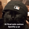 Michi E Al final solo somos Spotify y yo