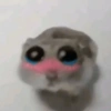 Hamster triste 30