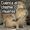 Cuenta el chisme o mueres