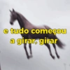 Reações + cavalos 🐎 23