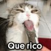 JOJO Que rico