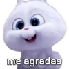 Snowball con frases 🐇🐰 7