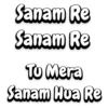 Sanam Re Sanam Re Tu Mera Sanam Hua Re