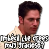 Imbécil ¿te crees muy gracioso?
