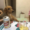 de sua