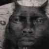 Gato julgador