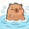 🧿 Capibaras cute✨♥️ 11