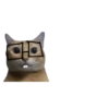 Mini gatitos 🥺😻 6
