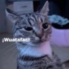 🫯🫪 WTF - OMG [Mood] 🫪🫯 8
