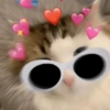 GATINHOS FOFOS 🐈 9