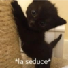 *la seduce*