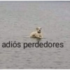 Meemes de animalitos 🥵✨ 7