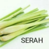 SERAH