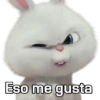 Snowball con frases 🐇🐰 12