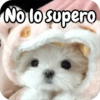 Reacciones Perritos coquetos 🐶 13