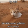 No debí No debí comer galletas en la cama