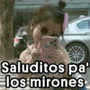 Saluditos pa los mirones