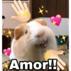 ❤️ Buenos días Amor 🥰Bza 6