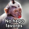 No hago favores