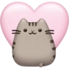 Coração Atrás do Gato