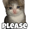 PLEASE