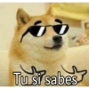 Meemes de animalitos 🥵✨ 14