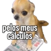 Memes aleatórios 8