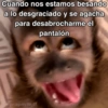 🙊😜🔥 Funny Monkey 🔥😜🙊 19