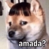 amada?