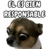 🐕🐶Perrito sin palabras 😬🙁 14