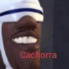 Memes 23