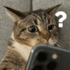 🫯🫪 WTF - OMG [Mood] 🫪🫯 10