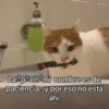 Memes con texto 2 🏝️👀 14