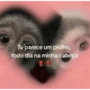 PRO AMORZIN 15
