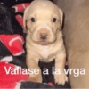 MEMES XD 21