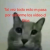 Tal vez todo esto m pasa por saltarme los video d Dios