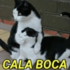 CALA BOCA