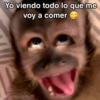 🙊😜🔥 Funny Monkey 🔥😜🙊 5