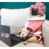Animales Pa' ti  10