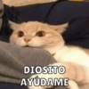 Michis Para ti pt.4🐱❤️ 7