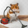 HAMSTER 16