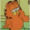 Garfield Cat 5