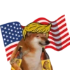 Revicheems