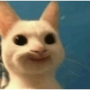 Reações dos animais 😂 15