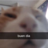 buen dia