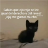 Sabias que ojo rojo se lee igual del derecho y del reves? Jajaj me gustas mucho @michis.para.ti