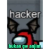 hacker
bukan gw anjim