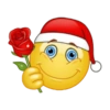 Navidad emojis 🎄😍 12
