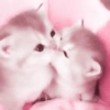 Animales 10